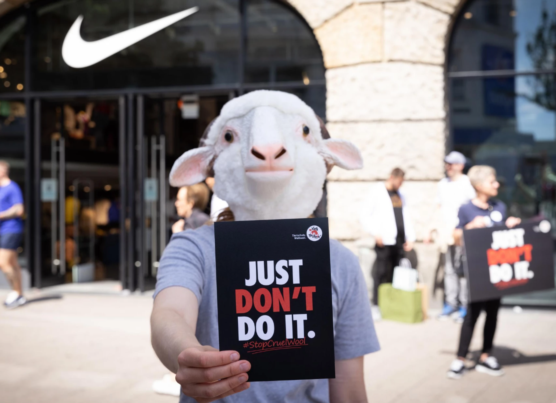 Nike откажется от шерсти, получаемой с использованием мьюлесинга